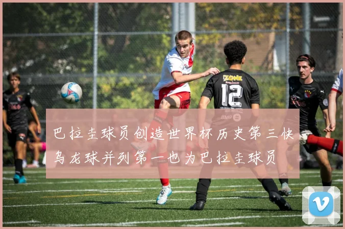 巴拉圭球员创造世界杯历史第三快乌龙球并列第一也为巴拉圭球员