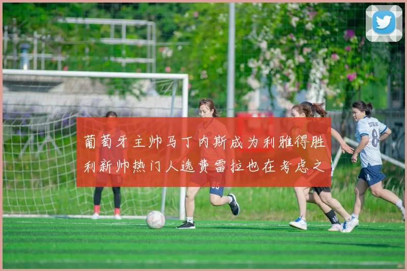 葡萄牙主帅马丁内斯成为利雅得胜利新帅热门人选费雷拉也在考虑之中